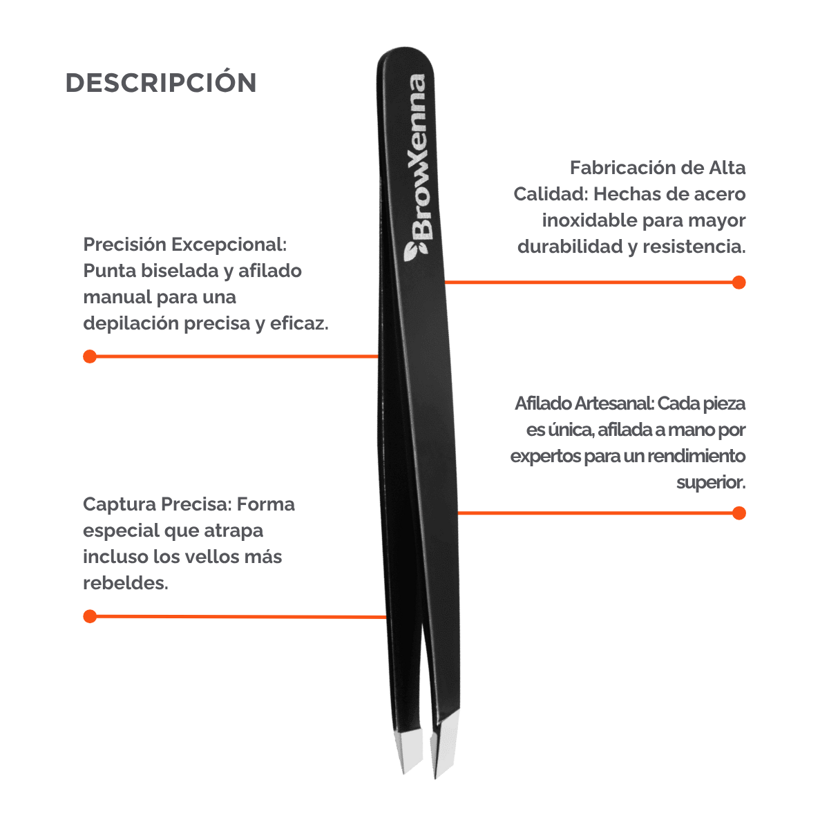 Pinzas Profesionales para Cejas BrowXenna® con punta biselada y afilado manual para depilación de precisión técnica