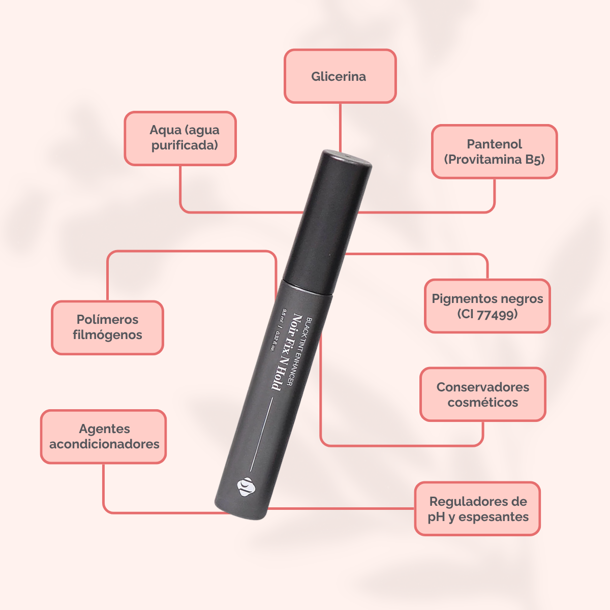 BL Lashes Noir Fix N Hold 9.5 ml fijador negro y sérum para pestañas, extensiones y lash lift
