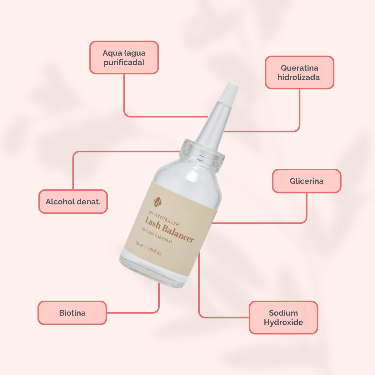 Lash Balancer pH Controller